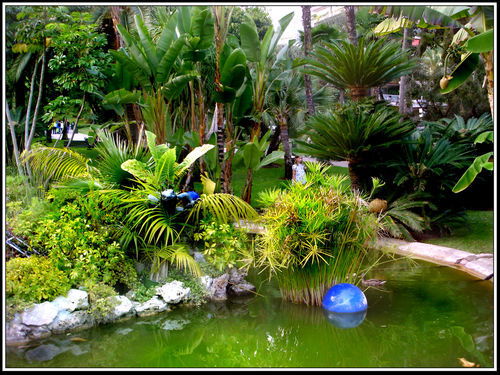 Muhabbat ***********