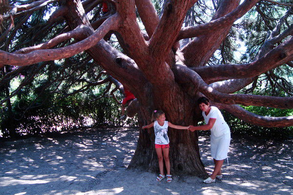 Лиза Андрийчук