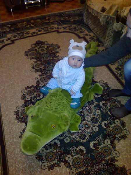 Карина Амирбекова