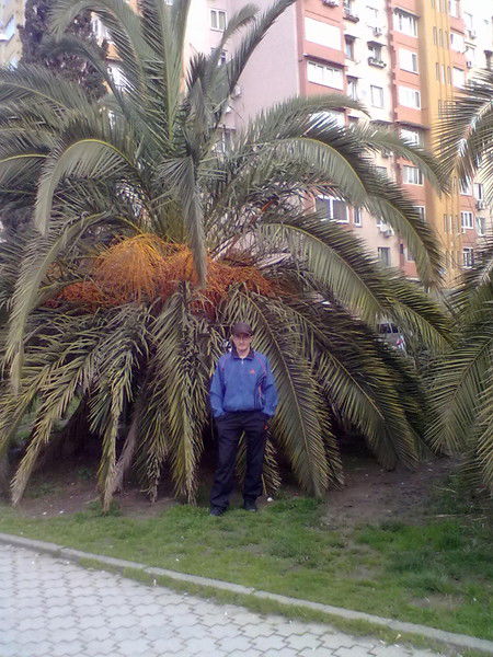 Марсель Рахимов