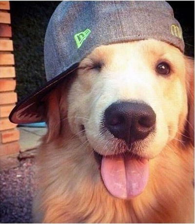 Кирилл Смирнов