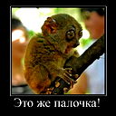 Николай Шарганов