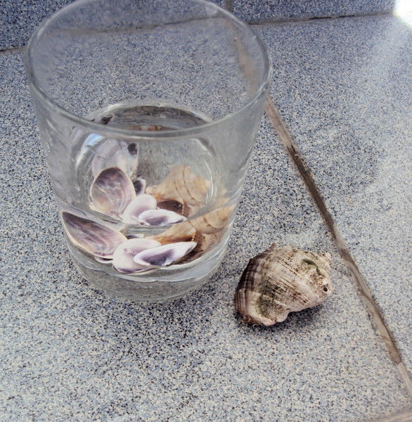 Наталья Вахтомина