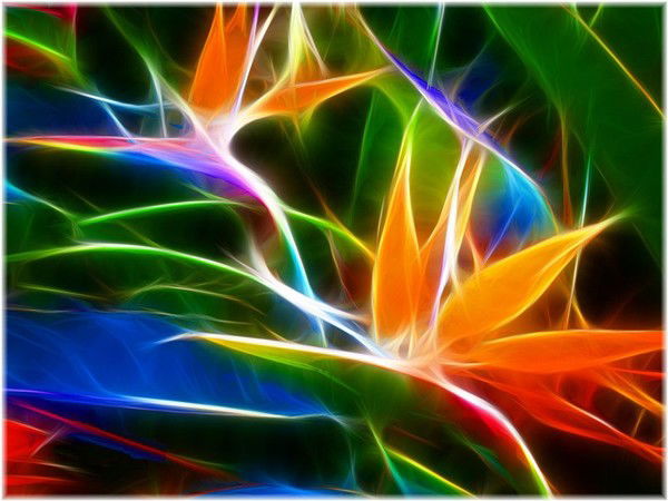 Оксана Яременко