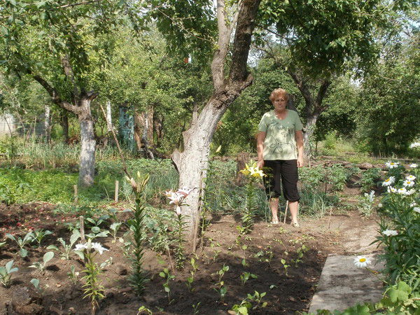 Валентина Соболева (Плотайс)