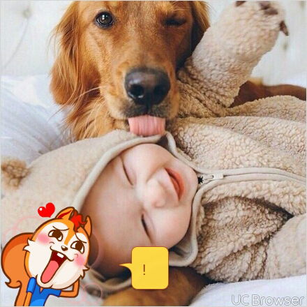 Aмалия Карданова