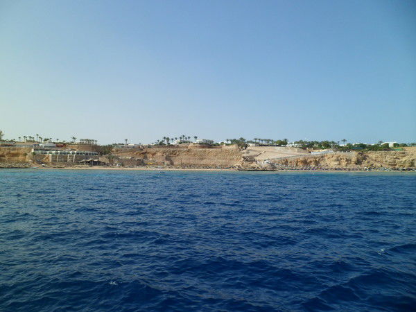 Ирина Гушан