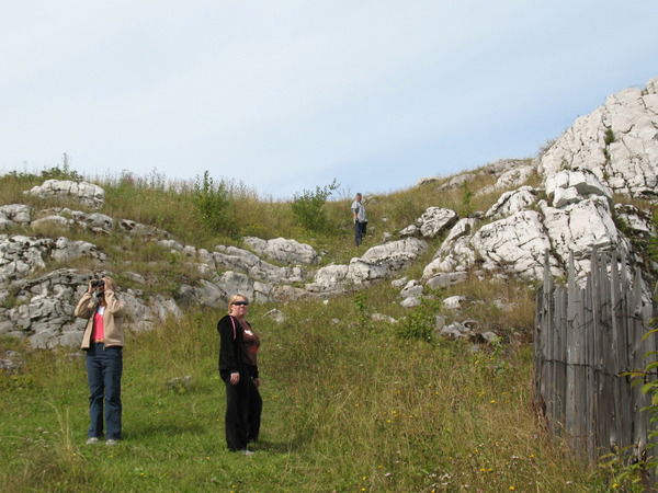 Светлана Лагуткина