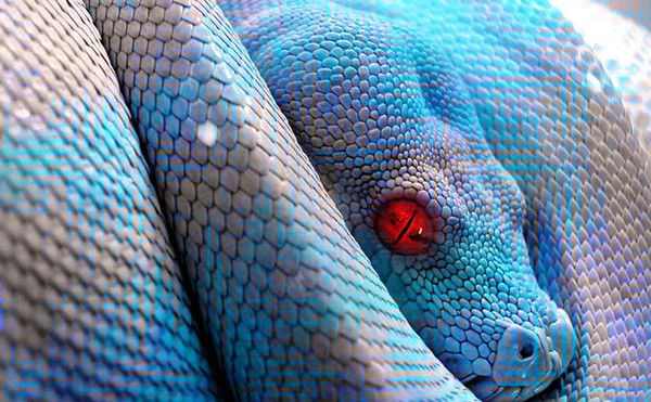 Артём Низамутдинов