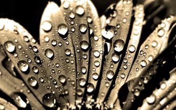 Просто Лина