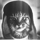 Иван Соловьёв