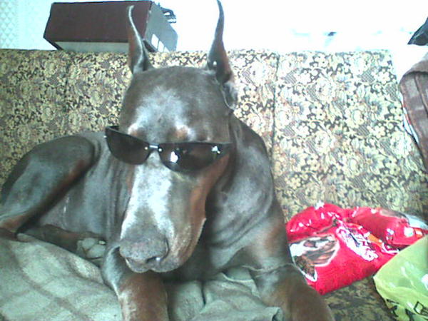 Отто Геллер