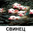 Наташа Х