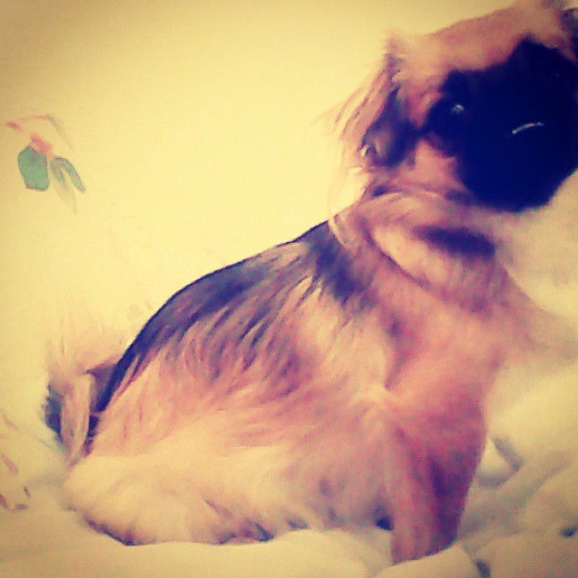 Мироновая Аня