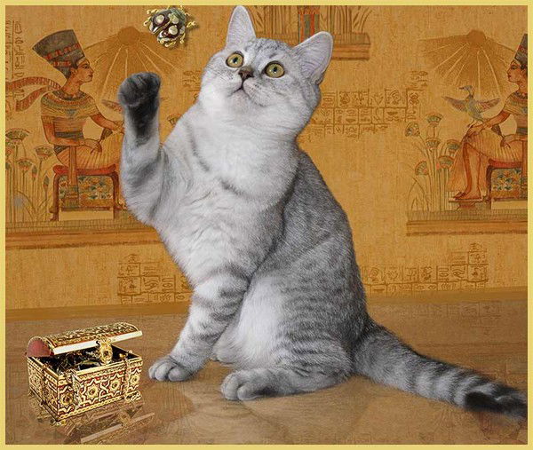 Лиля Тайшова