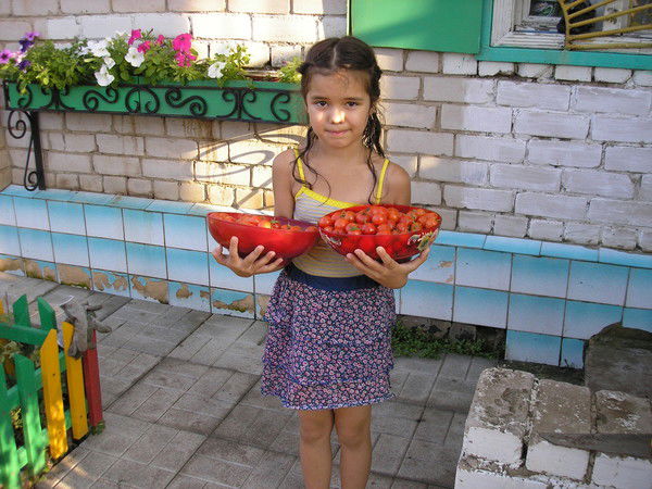 Даша Гулова