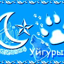 Uyghur C*