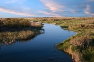 Дмитрий Кабулов