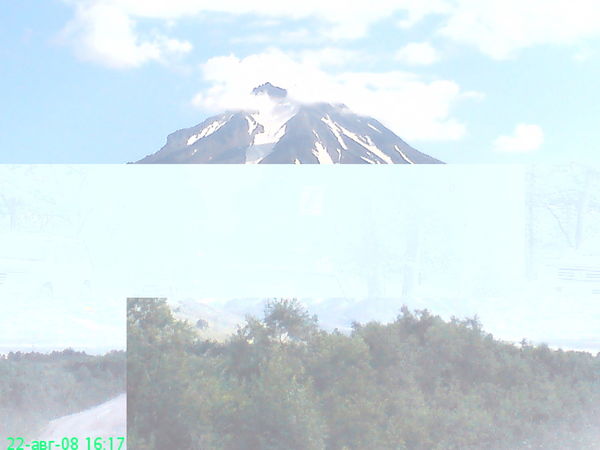 Екатерина Емашова