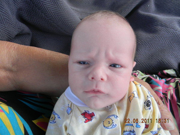 Елена Приступа