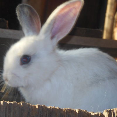 Мария Максунова