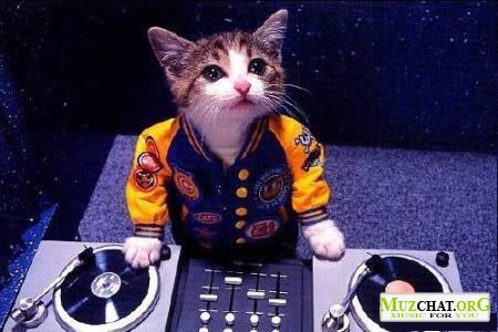 Ильдар Мирзаянов