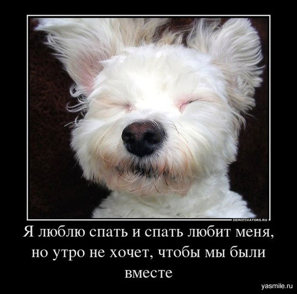 Ирина Шелег