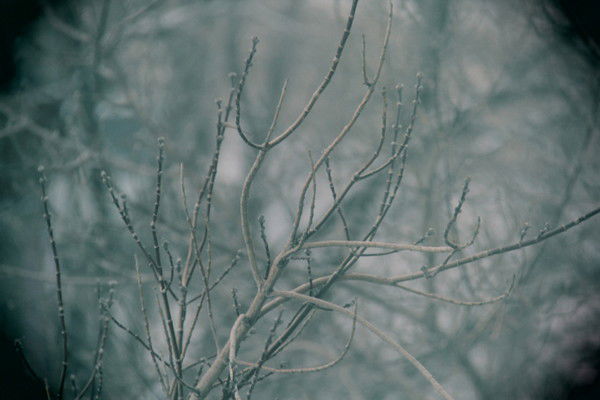 Даулет Кусаинов