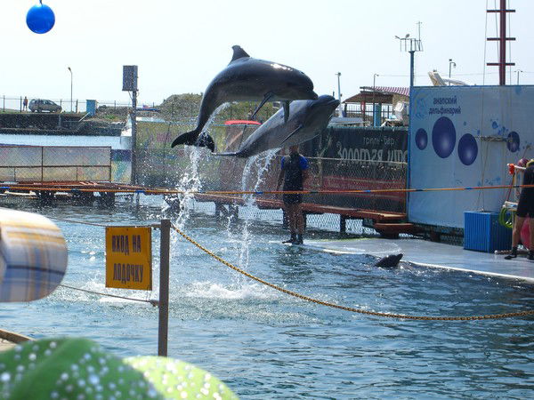 Настя Наумова