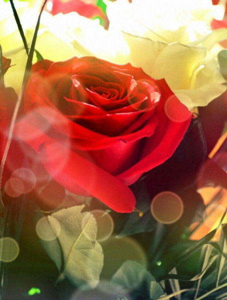 Чинара Абдукаримова