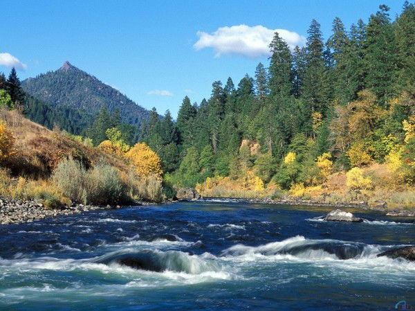 Черёмина Анна