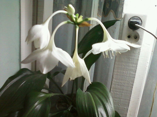 Светлана Мустафаева