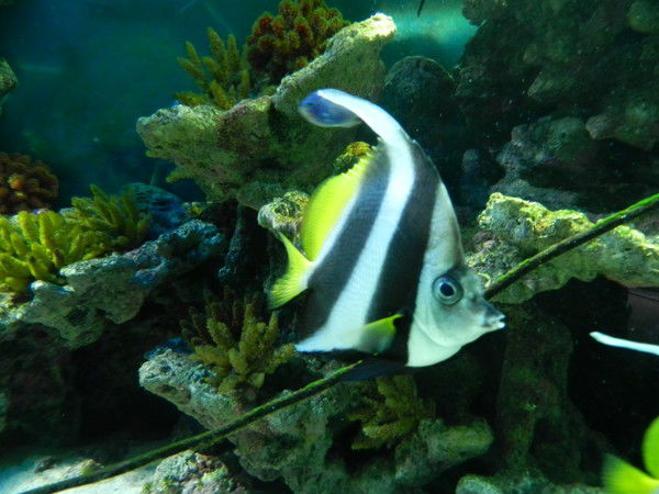 Татьяна Безруких