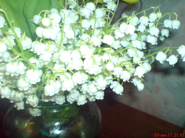 Натали Головизина