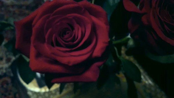 Наташа Кочетова