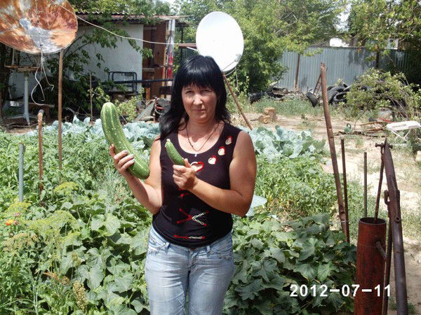 Галина Нехорошева