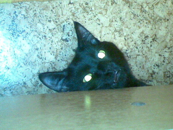 Иван Никулочкин