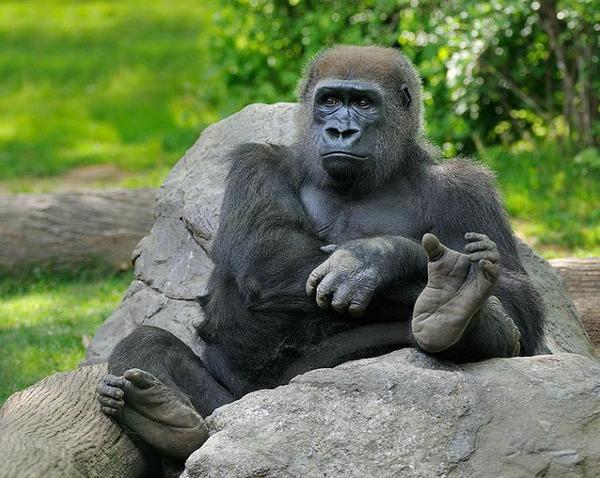 Аркадий Рузаков