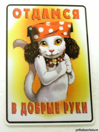 Елена Ильина