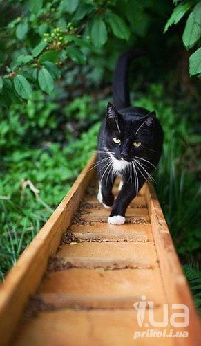 Семёнов Андрей