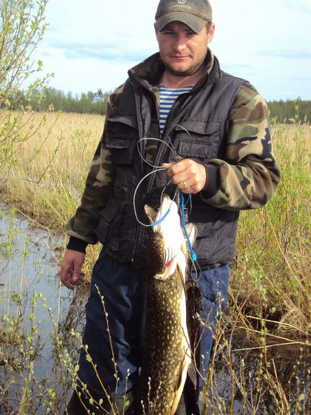 Алексей Дементьев