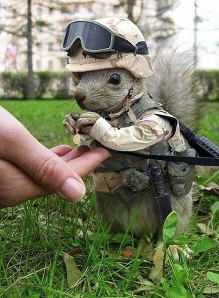 Сергей Дюбайло