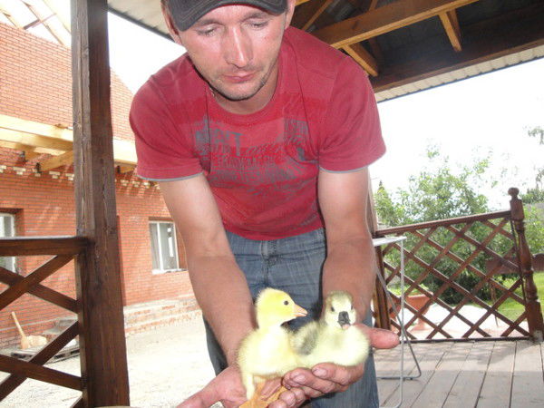 Валентин Касьянов Чапала