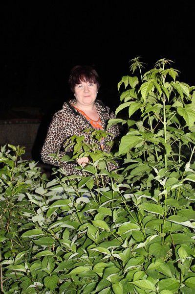 Светлана Баранова