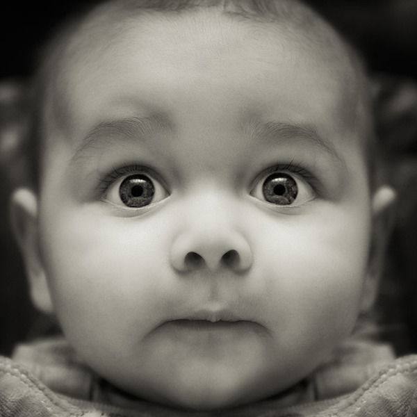 Ольга Диброва