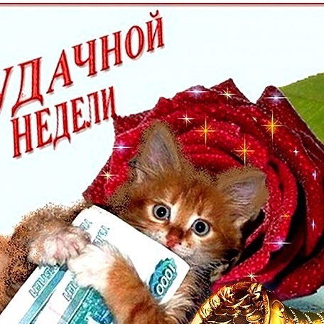 Оксана Волкова