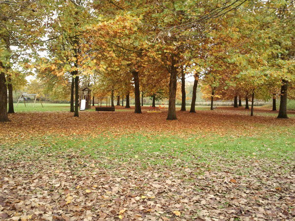 Наталья Милли