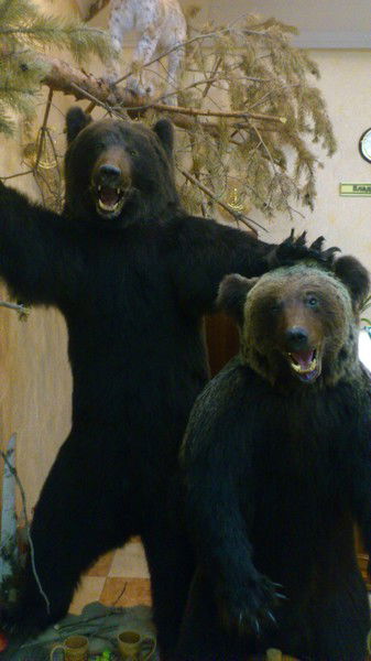 Игорь Гончаров