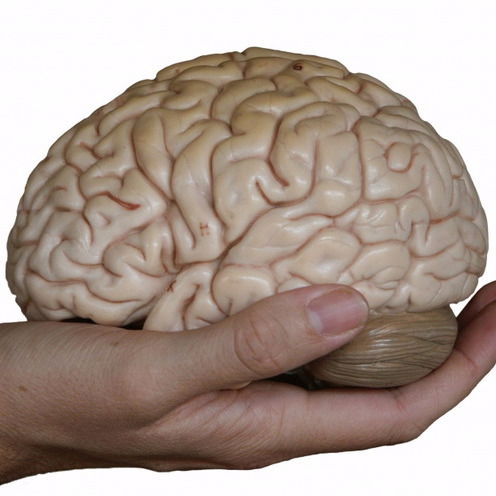 Социальная Работа