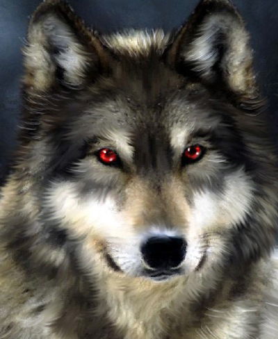 София Попова